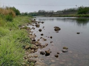 小溪流池塘钓鱼技巧（提高钓鱼技巧）