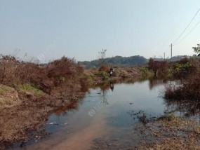 以坑塘钓鱼技巧教程（掌握钓鱼技巧）