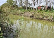 小水沟鲫鱼钓技巧（探索小水沟中钓野生鲫鱼的窍门）