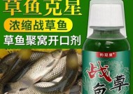 水库钓鱼饵料的搭配技巧（提高钓鱼效果的关键是饵料搭配）