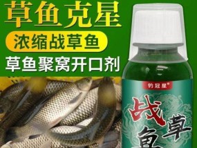 水库钓鱼饵料的搭配技巧（提高钓鱼效果的关键是饵料搭配）