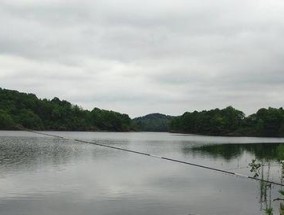 钓鱼湖库选址技巧（钓鱼湖库选址关键要素与技巧）