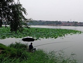 春天下午钓鱼的技巧与地点（享受春天阳光，放松心情的好时光）