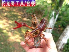 钓鱼技巧-以龙虾肉为诱饵（提高钓鱼成功率的关键技巧）