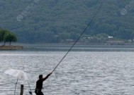 天津市河东区野钓技巧（掌握钓鱼技巧提升野钓水平）