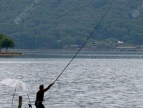 天津市河东区野钓技巧（掌握钓鱼技巧提升野钓水平）