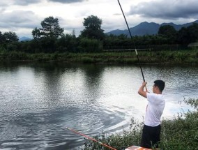 夏季阴雨天钓鱼技巧（钓鱼关键）