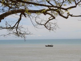 湛江观海钓鱼技巧（探寻湛江海钓乐趣）