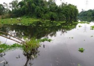 小雨钓鱼的技巧及方法教程（钓鱼爱好者必读的小雨钓鱼攻略）