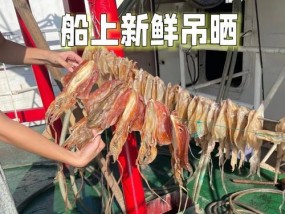 船钓墨鱼技巧教程（掌握关键技巧，轻松捕获丰富墨鱼）