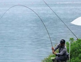 炎炎夏日，钓鱼有招（钓鱼高手教你应对炎炎夏日的技巧）