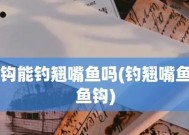 串钩钓翘嘴抛竿技巧教程？如何提高钓鱼效率？