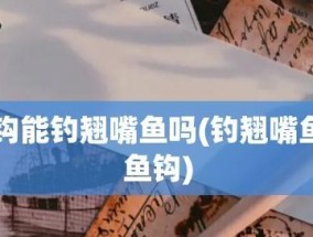 串钩钓翘嘴抛竿技巧教程？如何提高钓鱼效率？