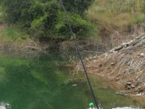 红水河岸钓技巧（掌握红水河岸钓鱼技巧）