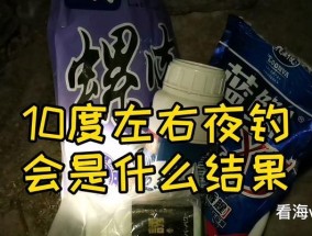 钓鱼打口技巧讲解教程（提升钓鱼技术，轻松大获全胜）