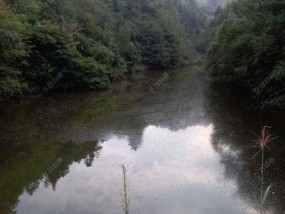 农村野塘钓鱼的技巧（解密农村塘钓）