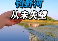 寻找理想的钓鱼点——野外小河钓鱼位置选择技巧（技巧）