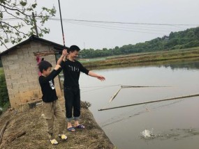 秋天钓鱼技巧大揭秘（掌握这些技巧）