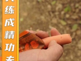 冬季钓鱼搓饵技巧教程（寒冬中的钓鱼乐趣，掌握搓饵的诀窍）