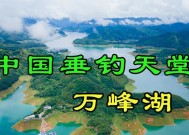 万峰湖四季钓鱼技巧（探秘钓鱼高手的心得与经验）