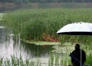 野钓技巧大全（提高你的钓鱼水平）