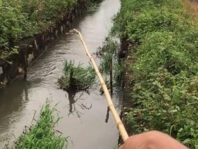 小溪河流钓鱼技巧（掌握钓鱼秘籍）