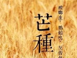 以小满到芒种期间钓鱼技巧（掌握钓鱼技巧）