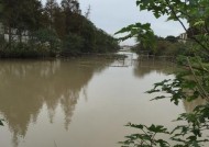 春季野河下雨钓鱼技巧（钓鱼技巧大揭秘｜赶走雨水，抓住大鱼的窍门）