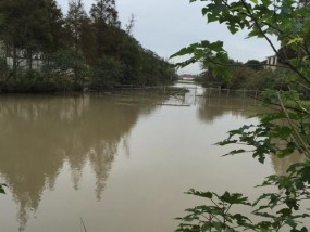 春季野河下雨钓鱼技巧（钓鱼技巧大揭秘｜赶走雨水，抓住大鱼的窍门）