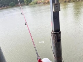 冷雨钓鱼技巧（应对恶劣天气的有效策略）