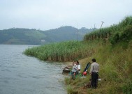 淤泥河钓鱼技巧（技巧解析与实用指南）