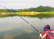 夏日钓鱼扒草技巧（夏天钓鱼的技巧与注意事项）