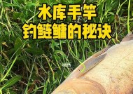 水库手竿垂钓鲢鳙的技巧与方法（提高钓鲢鳙成功率的实用经验）