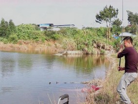 春季水库钓鱼技巧（享受春季水库钓鱼乐趣的绝佳方法）