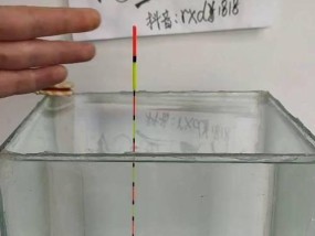 初学者钓鱼调漂技巧（入门指南）