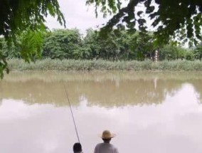 夏季雨天钓鱼技巧及调漂攻略（雨天钓鱼）