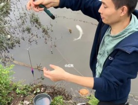 秋冬雨后钓鱼技巧（提高钓鱼成功率的实用指南）