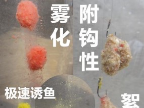 提升钓鲫鱼成功率的饵料搭配技巧（掌握关键饵料搭配）