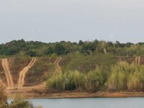 龙泉湖钓鱼技巧（掌握龙泉湖钓鱼的绝佳技巧）