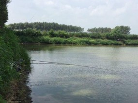 夏末雨后河流野钓技巧（湖泊钓鱼心得分享）