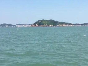 海钓鱼排的技巧（海钓鱼排技巧指南）