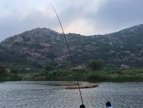 鸿运当头钓鱼技巧揭秘（大师级钓鱼技巧助您丰收）