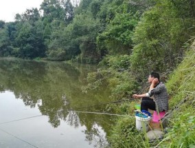 水库钓鱼技巧（掌握水库钓鱼技巧）