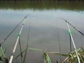 野外河流浅水钓鱼技巧（掌握成功钓鱼的关键技巧）