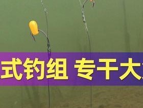 野钓大鲤鱼的正确调漂技巧（掌握技巧）