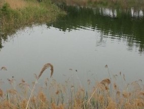 雨天钓鱼技巧（以野坑为场地）