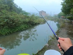 钓鱼野钓大虾的技巧（探秘钓鱼达人的精湛技艺）