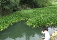 河边垂钓，技巧与方法（掌握远投竿）