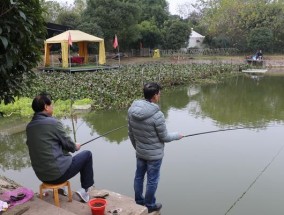 俄罗斯农场野钓技巧（探秘俄罗斯农场内的钓鱼技巧）