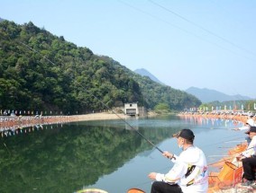 初夏野生河道钓鱼技巧（探寻鱼儿的秘密）